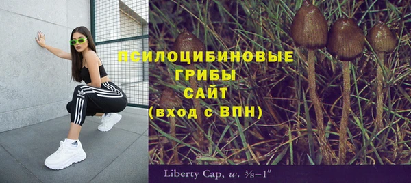 гидра Балахна