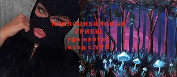 стаф Осташков